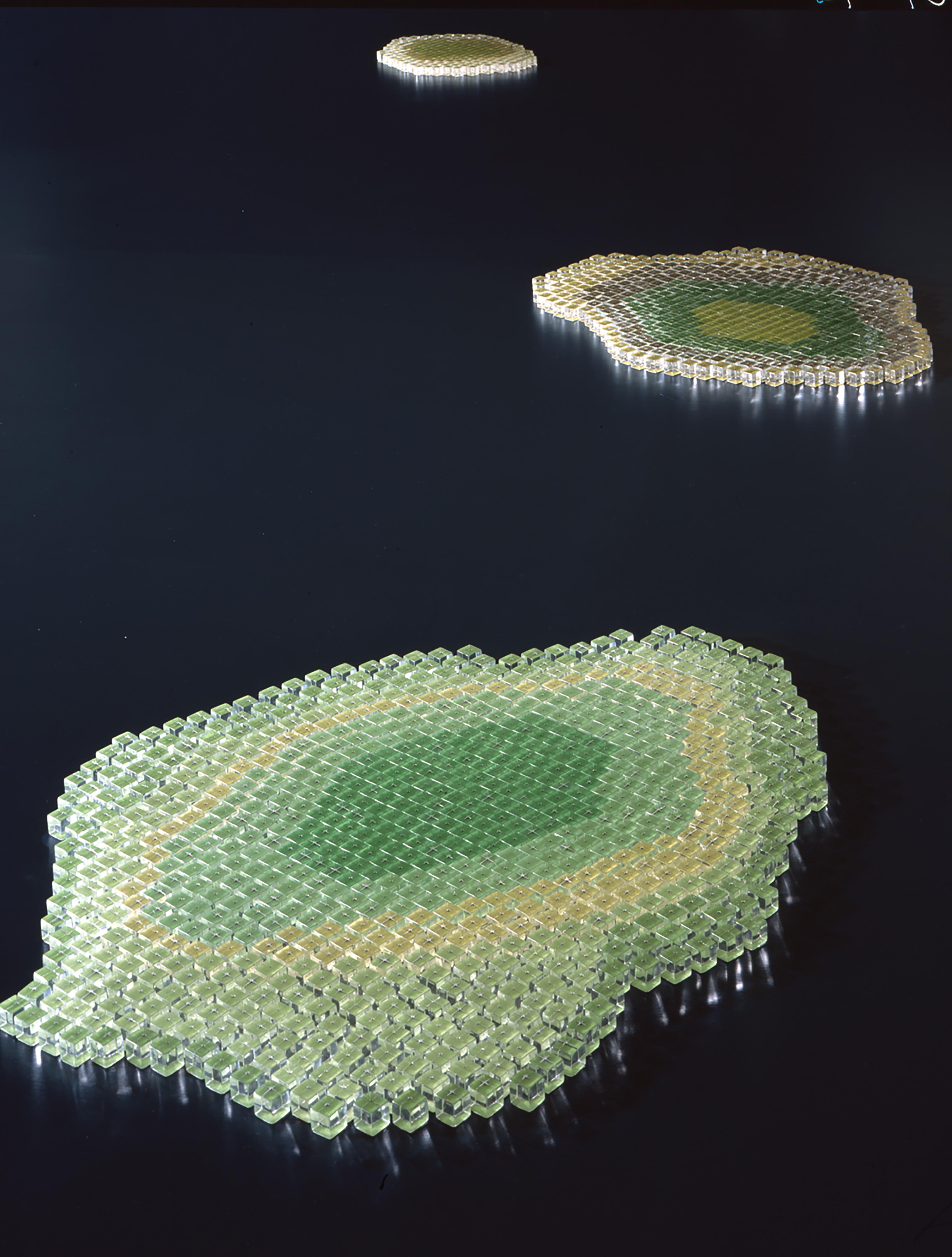 Teresita Fernu00e1ndez, Pond, 2001